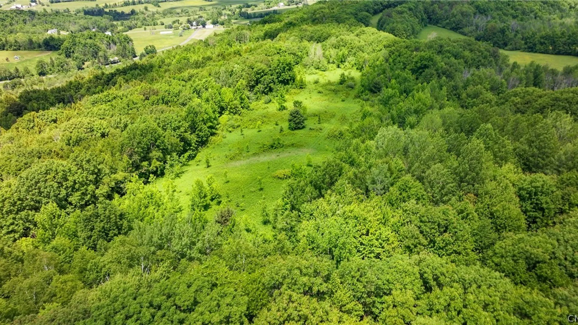 Property at Bush Street, Seward, NY 12043 3