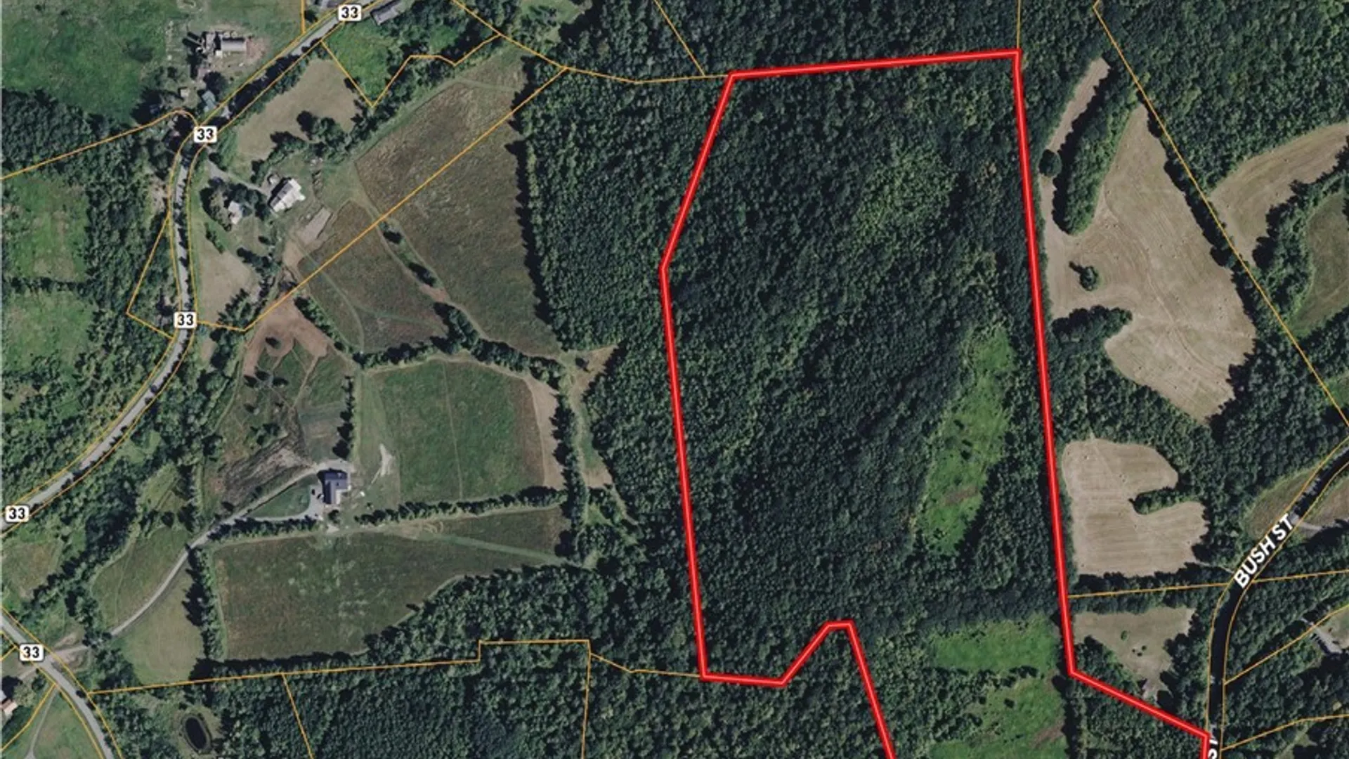 Property at Bush Street, Seward, NY 12043 4