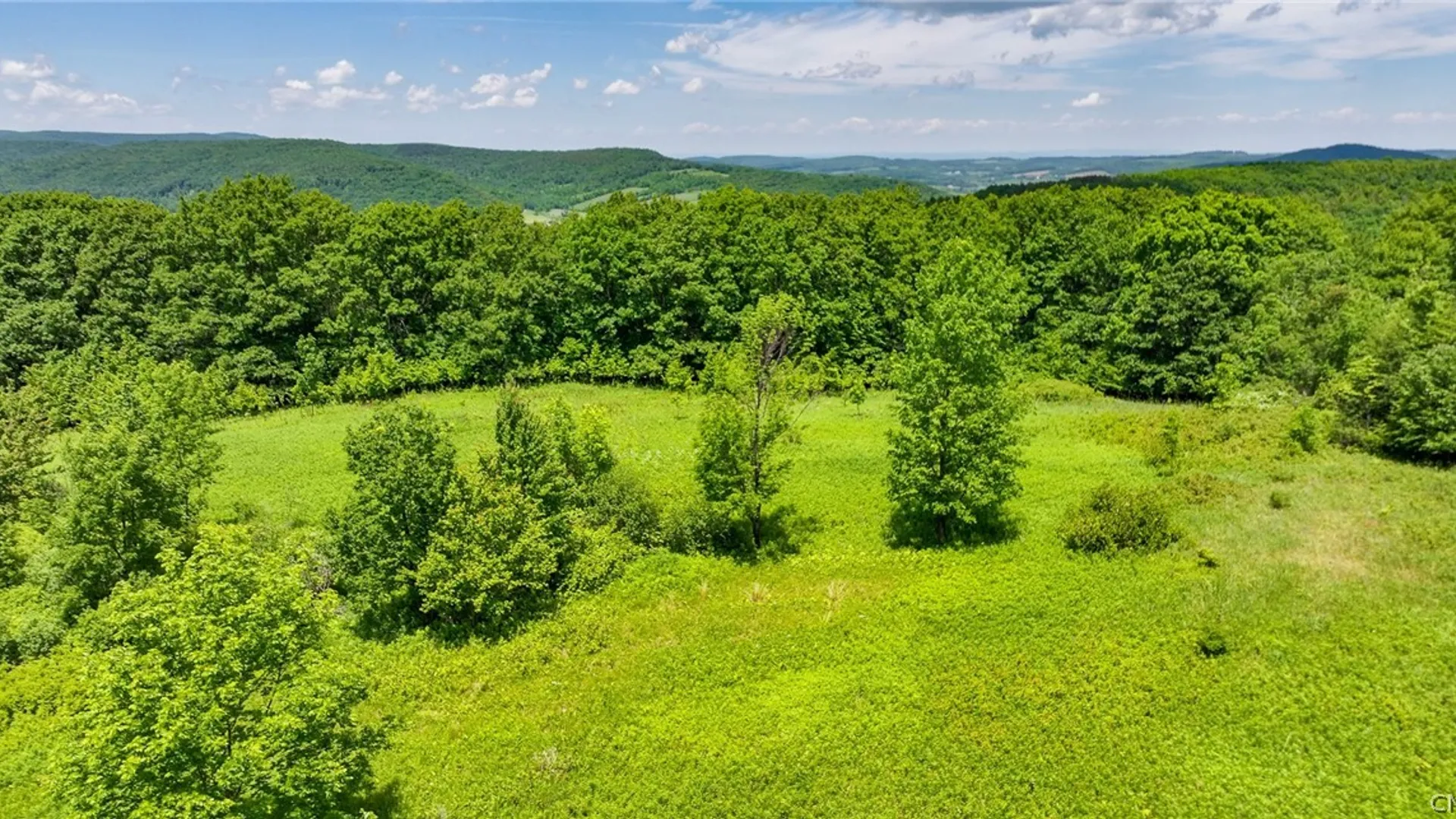 Property at Bush Street, Seward, NY 12043 6