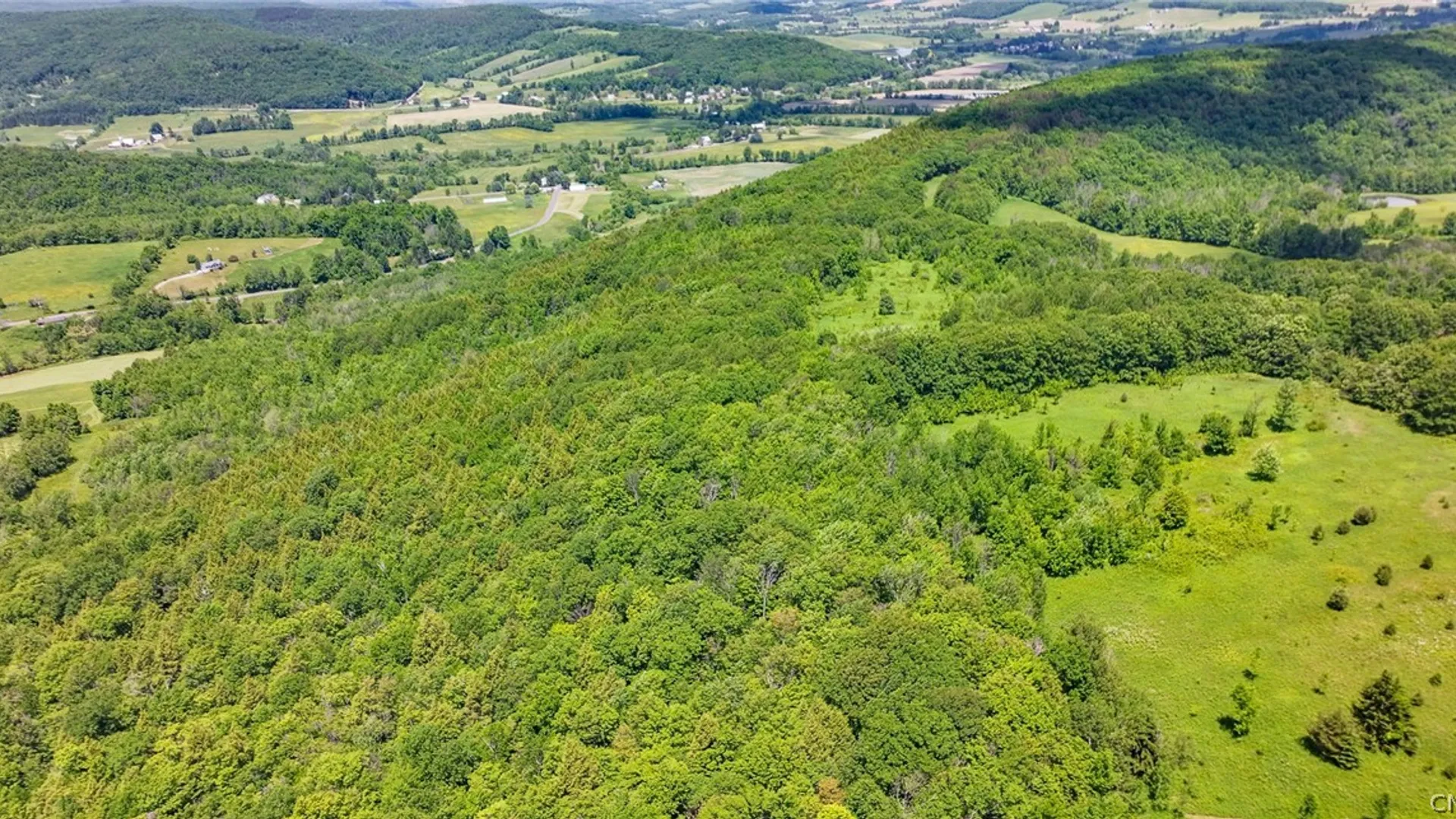 Property at Bush Street, Seward, NY 12043 9