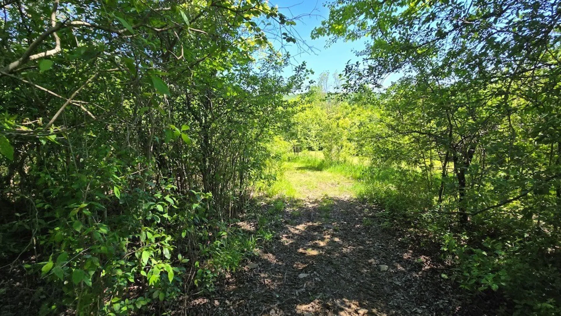 Property at 6303 Gleason Hill Road, Belfast, NY 14711 31