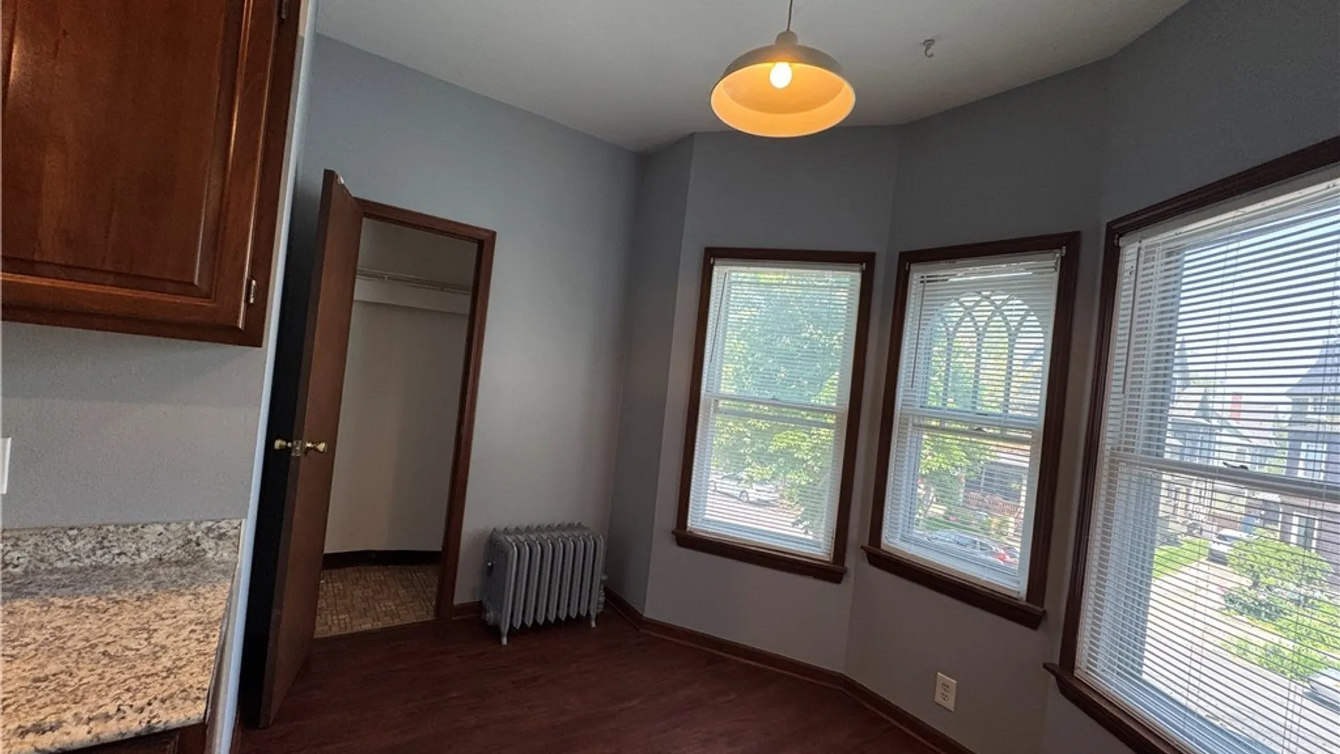 Property at 182 Lancaster Avenue, Buffalo, NY 14222 12