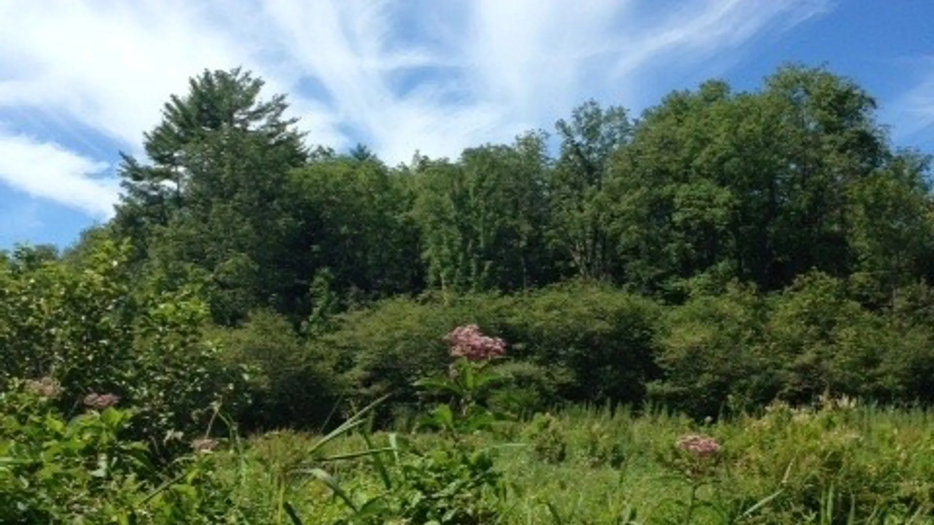 Property at 188 Cummings Road, Sandy Creek, NY 13142 18