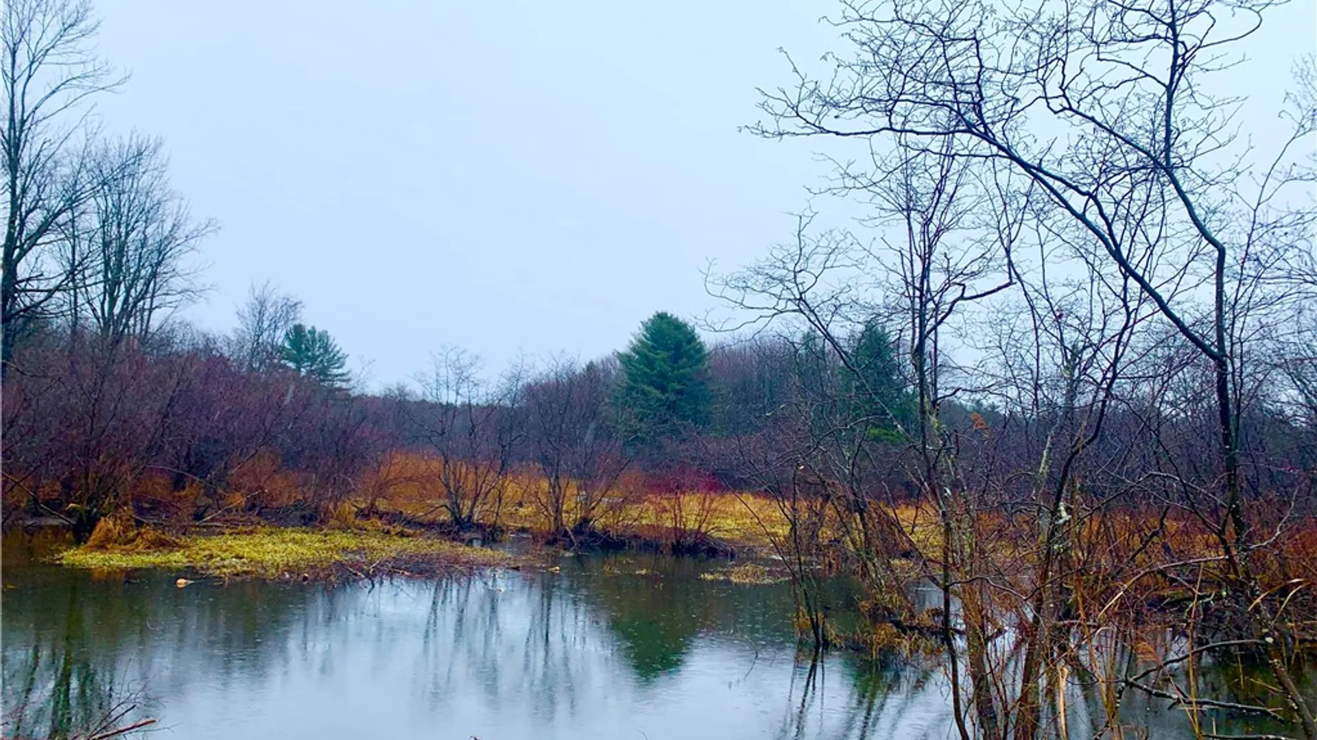 Property at 188 Cummings Road, Sandy Creek, NY 13142 7