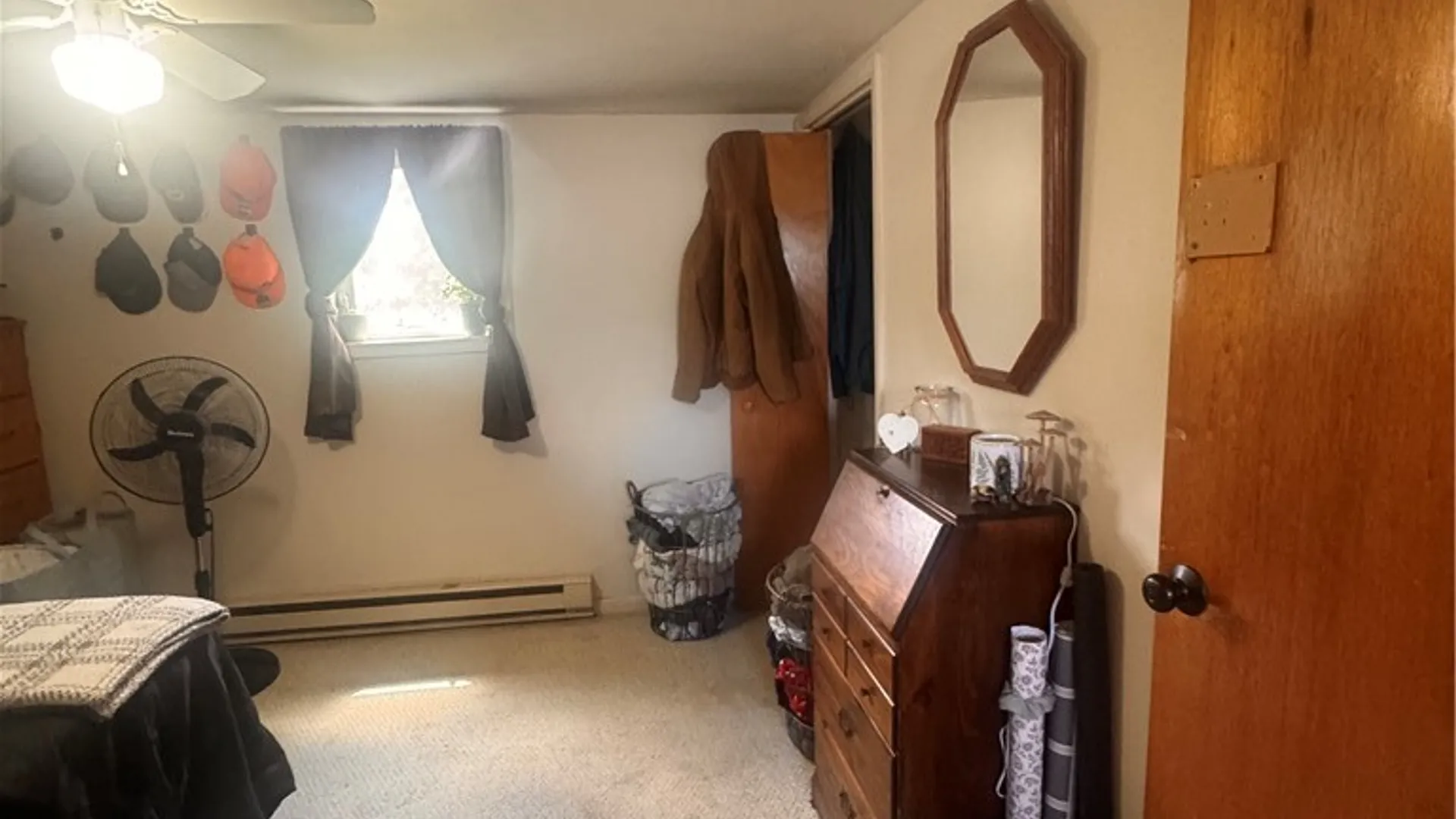 Property at 109 S Catherine Street, Montour, NY 14865 23