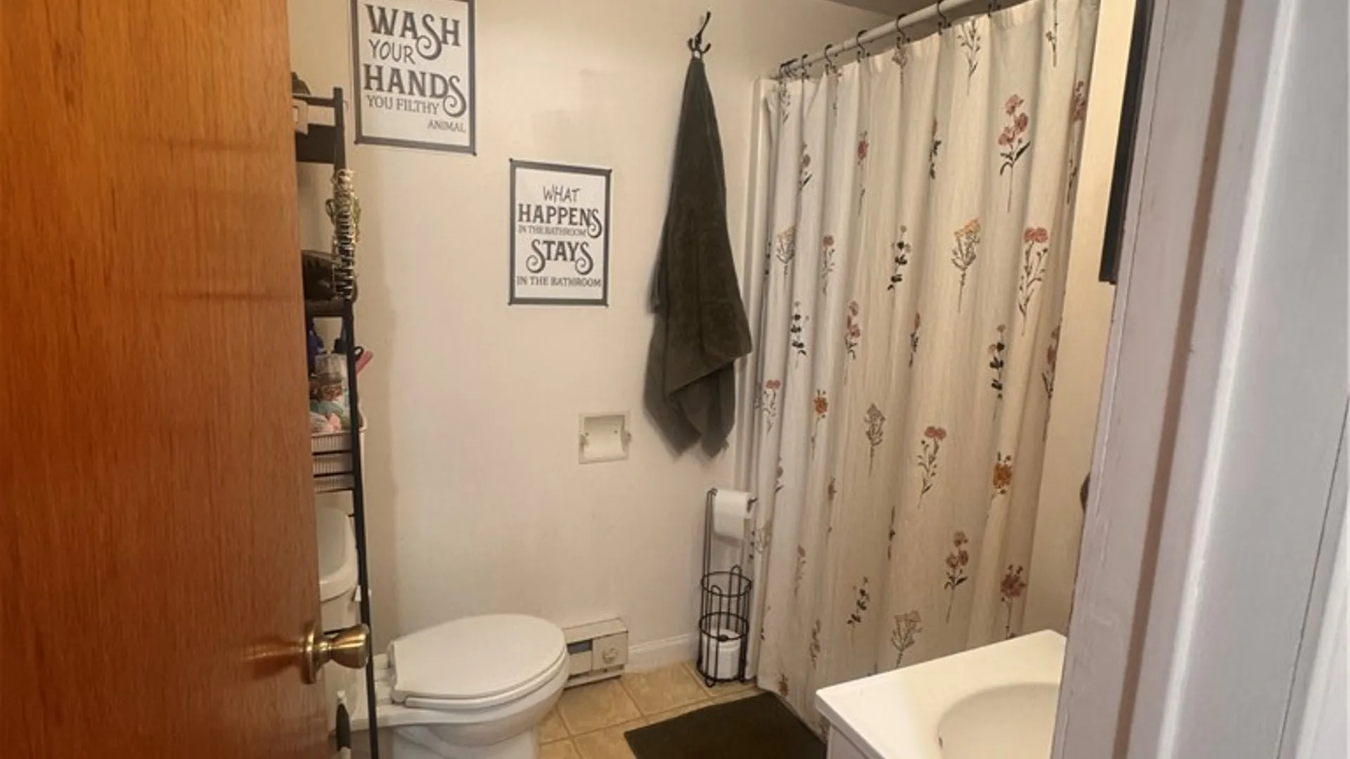 Property at 109 S Catherine Street, Montour, NY 14865 24