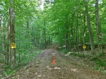Property at Cr-1, Wirt, NY 14739