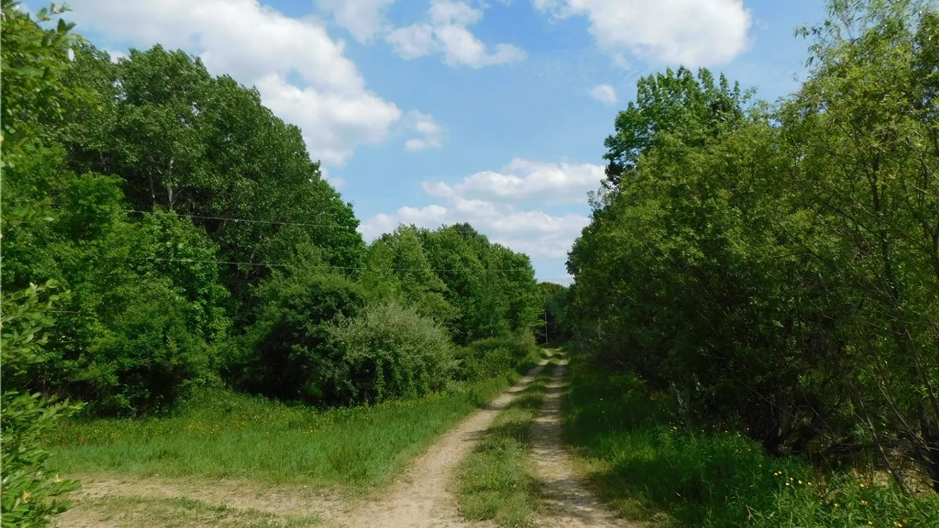 Property at Cr-1, Wirt, NY 14739 2