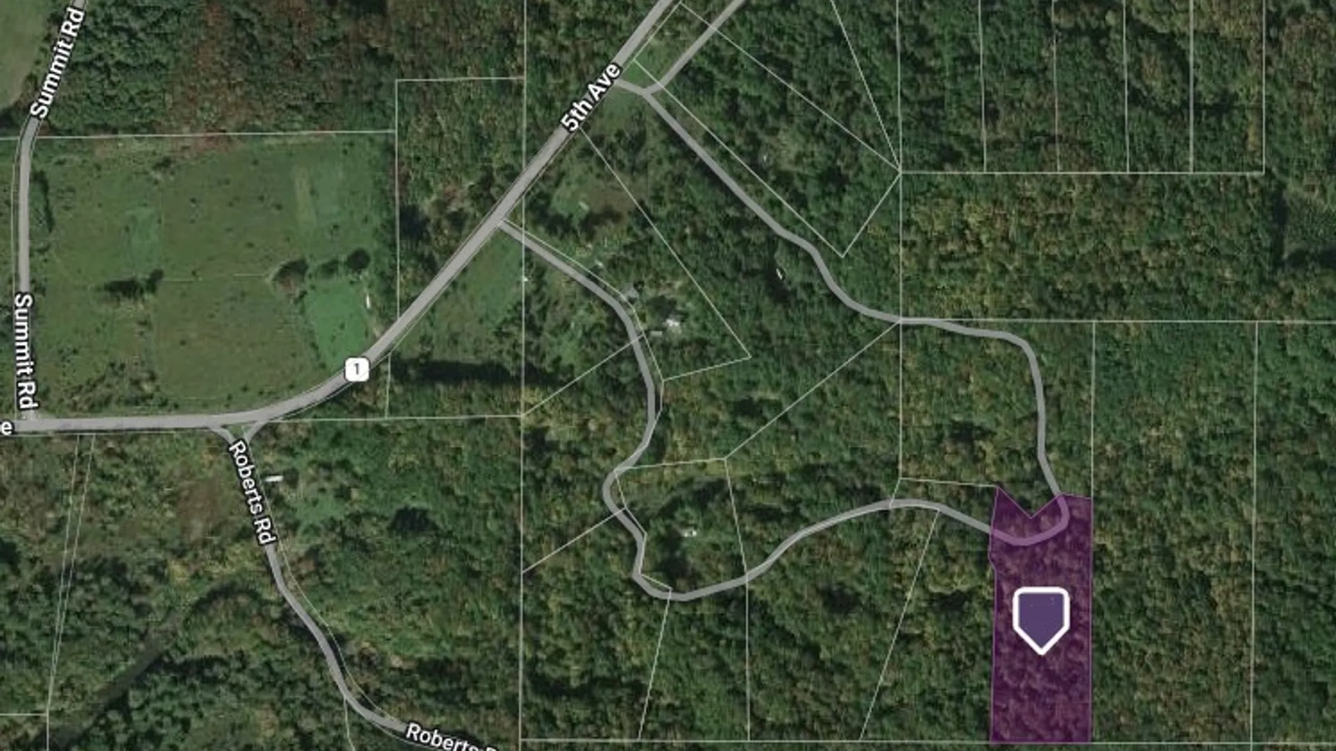 Property at Cr-1, Wirt, NY 14739 5