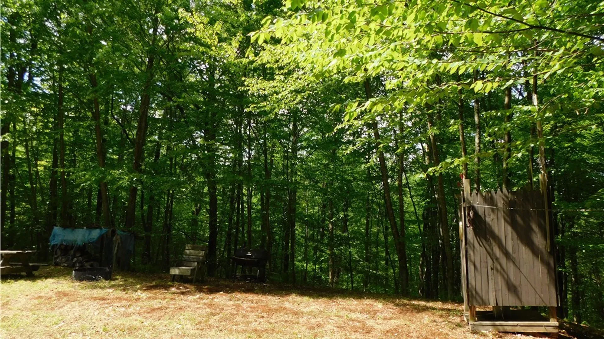 Property at Cr-1, Wirt, NY 14739 8