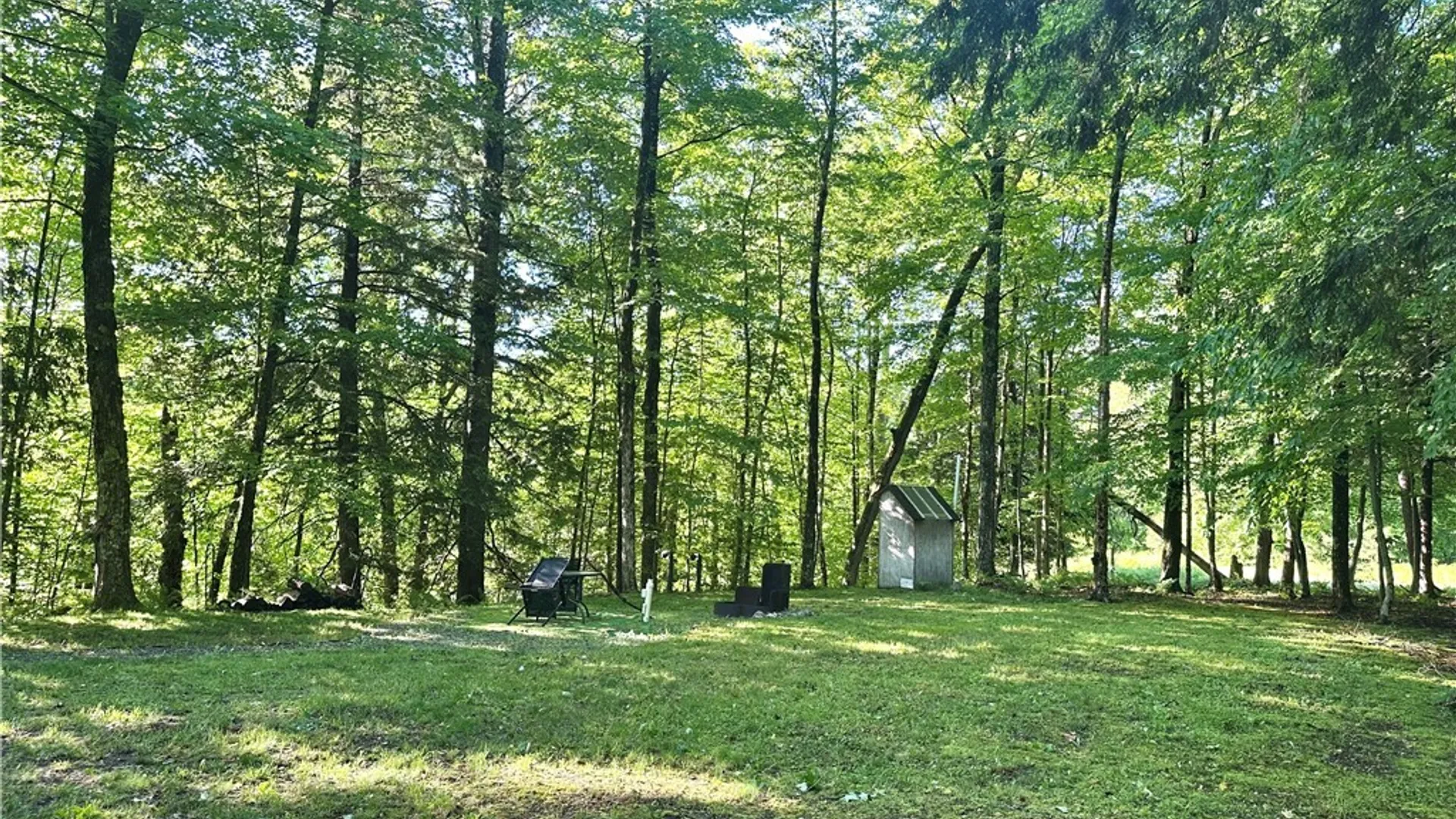 Property at 9436 Adsit, Watson, NY 13327 37