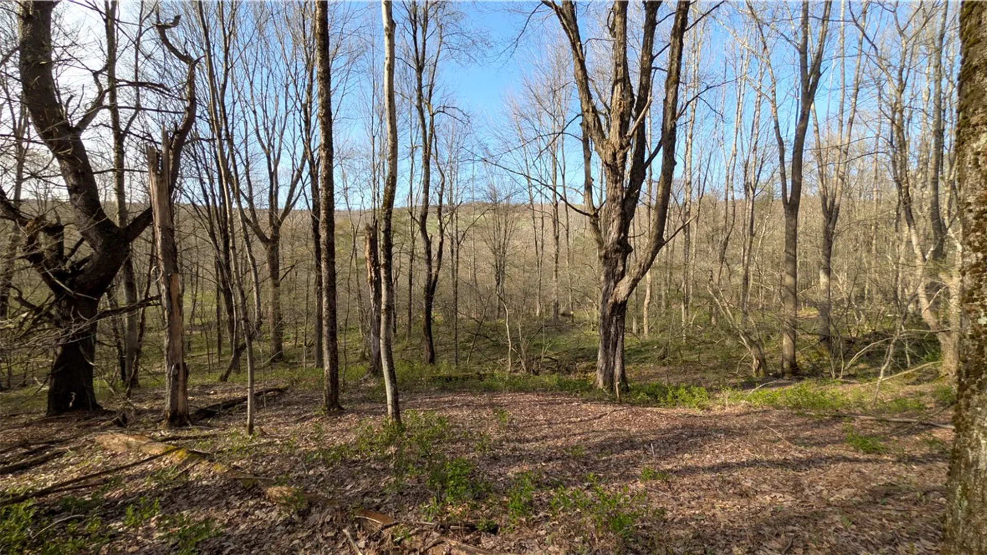 Property at 2332 Houghtaling Hollow Road, Meredith, NY 13757 41
