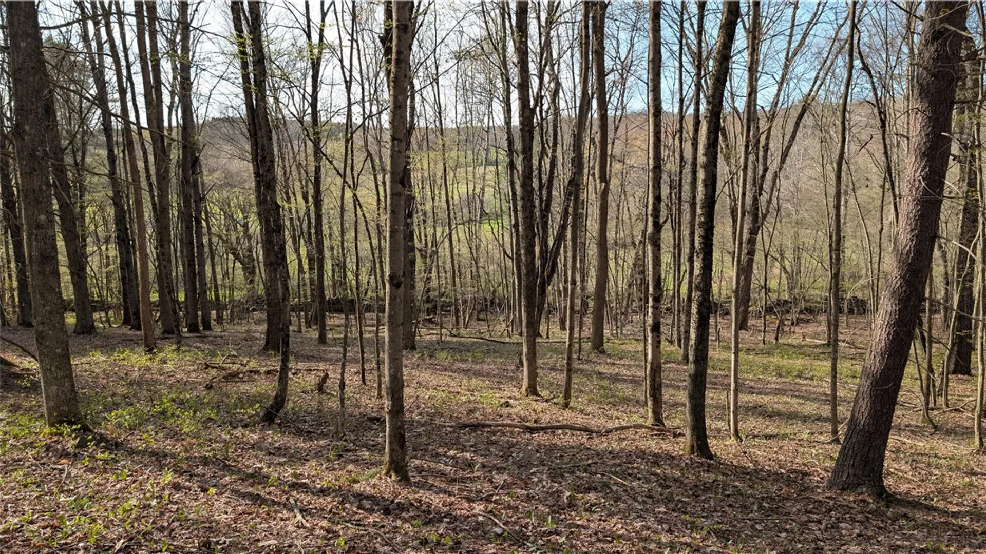 Property at 2332 Houghtaling Hollow Road, Meredith, NY 13757 43