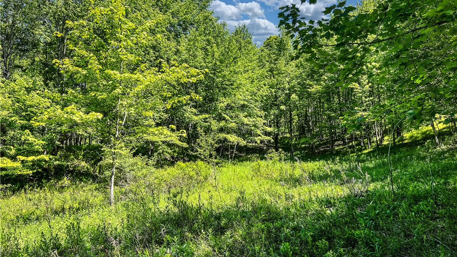 Property at 26 Federal Hill Rd 2, Delhi, NY 13753 14