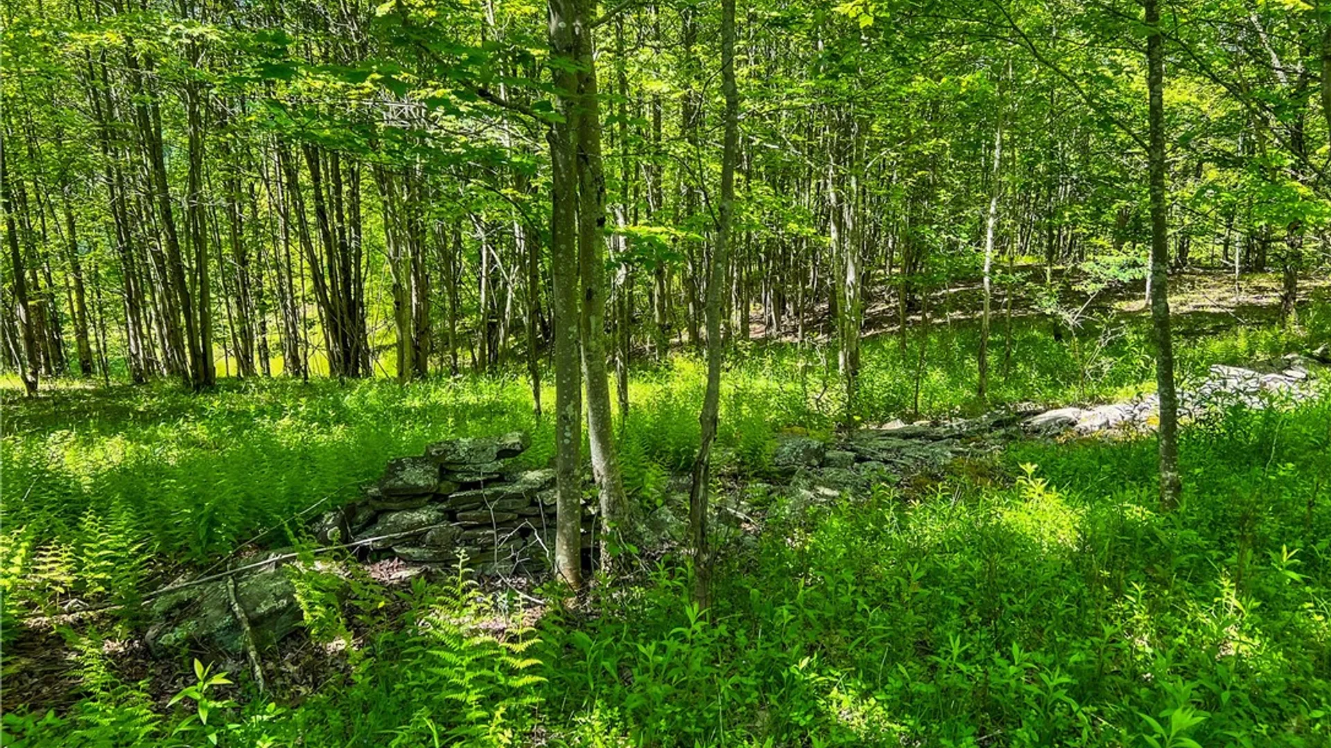Property at 26 Federal Hill Rd 2, Delhi, NY 13753 15