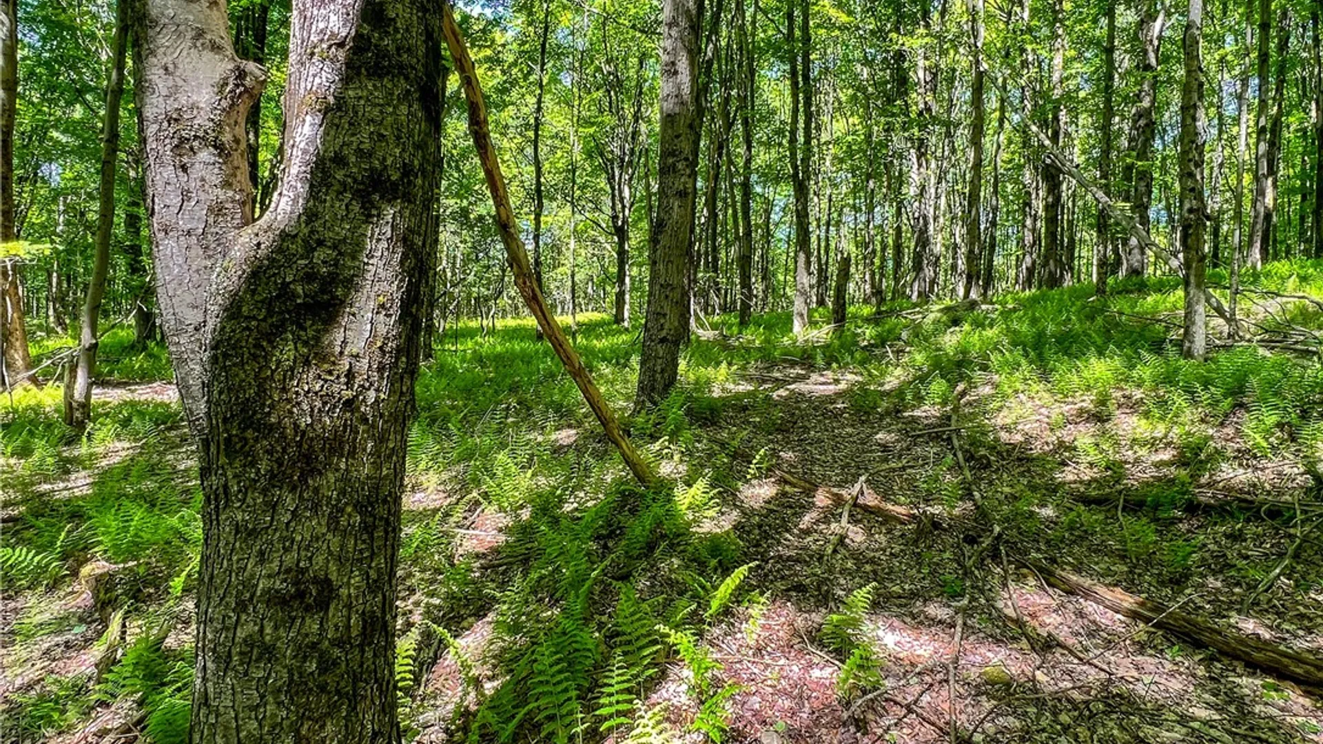 Property at 26 Federal Hill Rd 2, Delhi, NY 13753 20