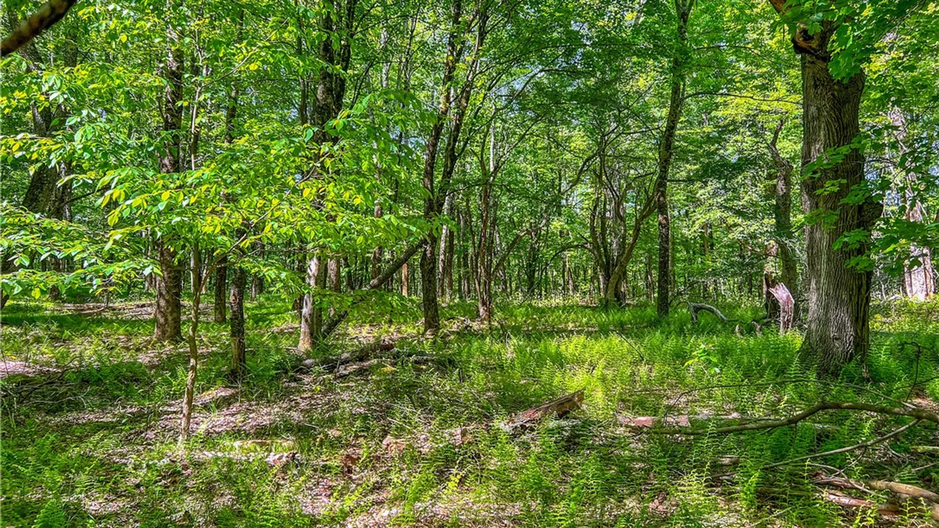 Property at 26 Federal Hill Rd 2, Delhi, NY 13753 22