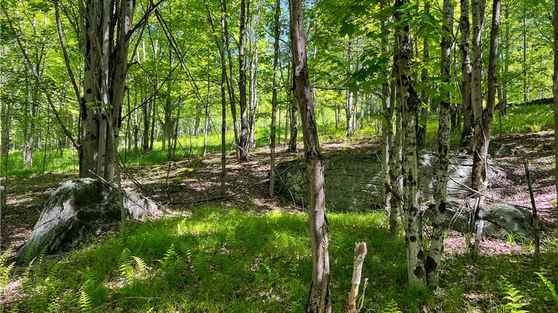 Property at 26 Federal Hill Rd 2, Delhi, NY 13753 26