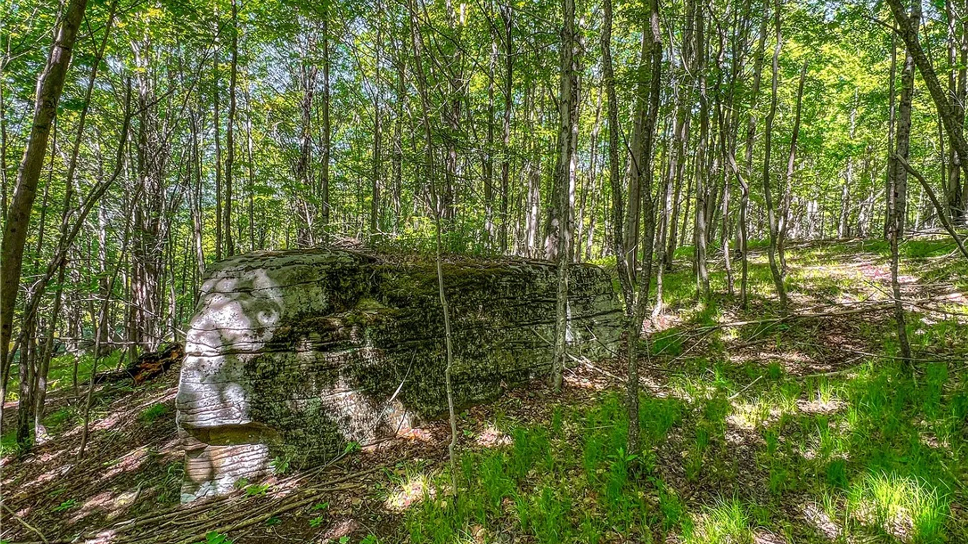 Property at 26 Federal Hill Rd 2, Delhi, NY 13753 27