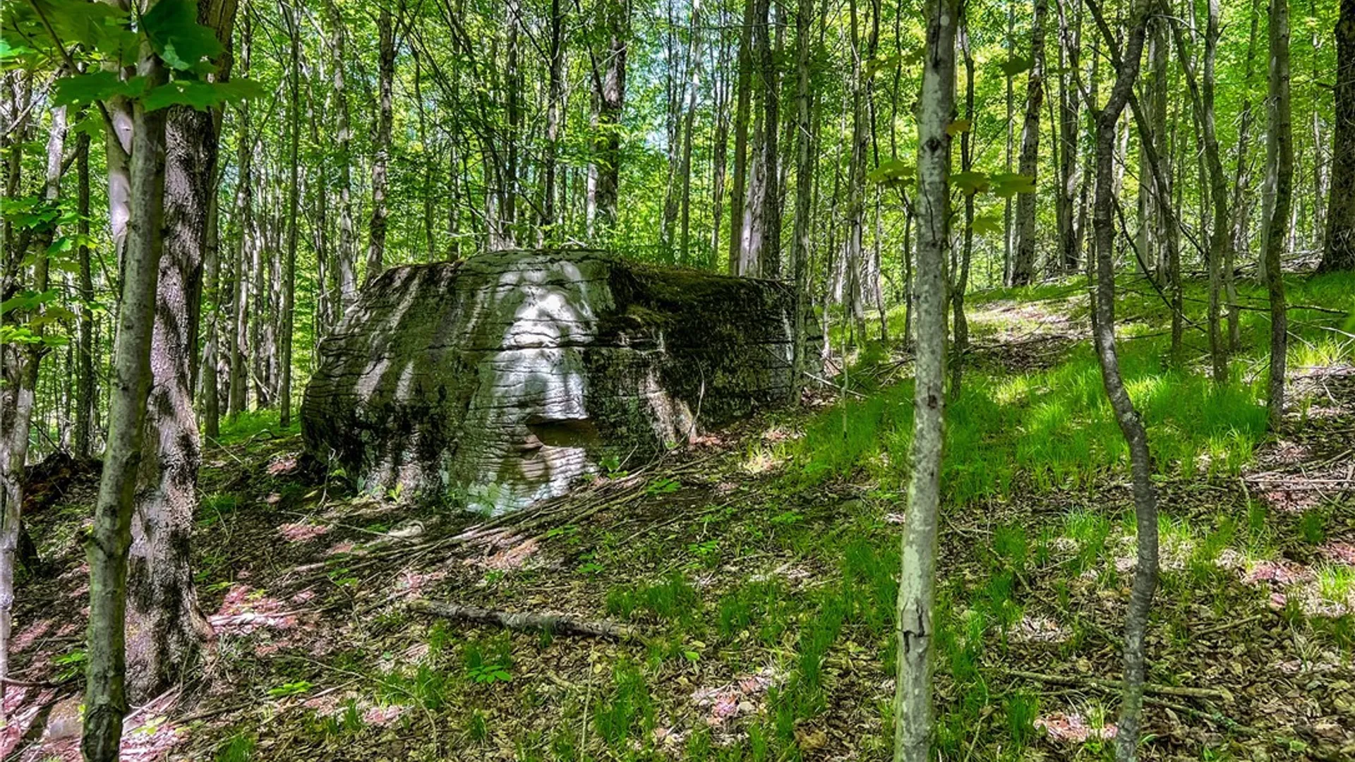Property at 26 Federal Hill Rd 2, Delhi, NY 13753 28
