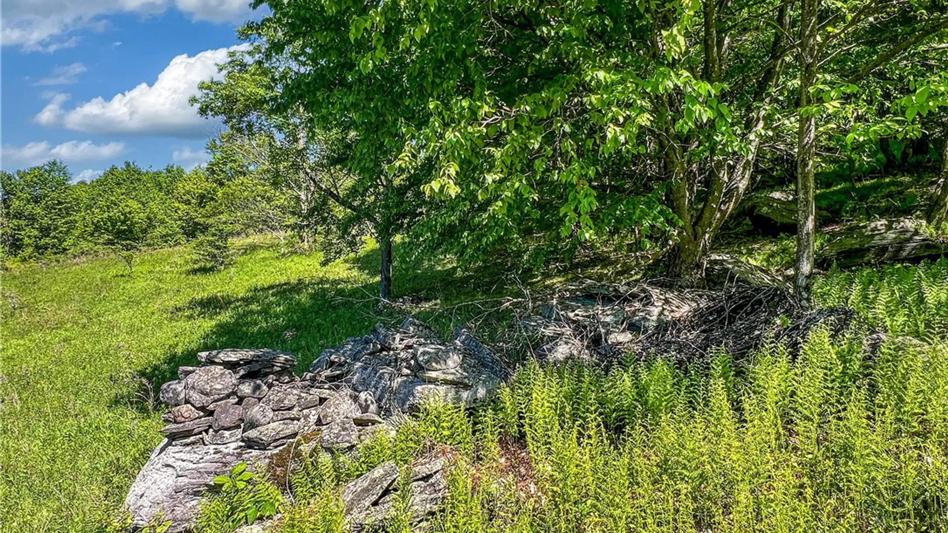 Property at 26 Federal Hill Rd 2, Delhi, NY 13753 33