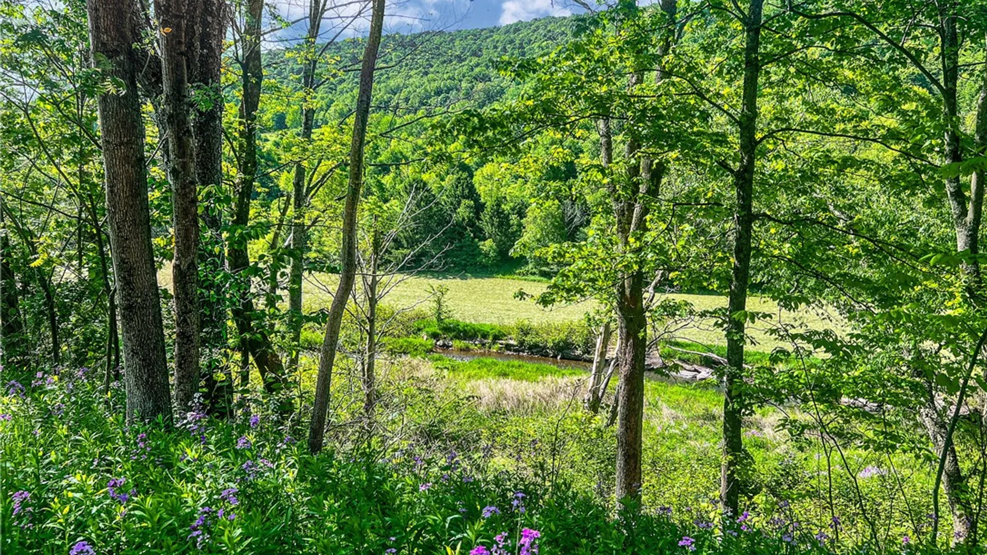 Property at 26 Federal Hill Rd 2, Delhi, NY 13753 35