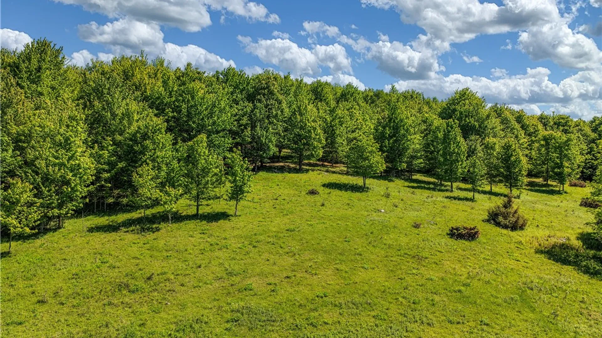 Property at 26 Federal Hill Rd 2, Delhi, NY 13753 41