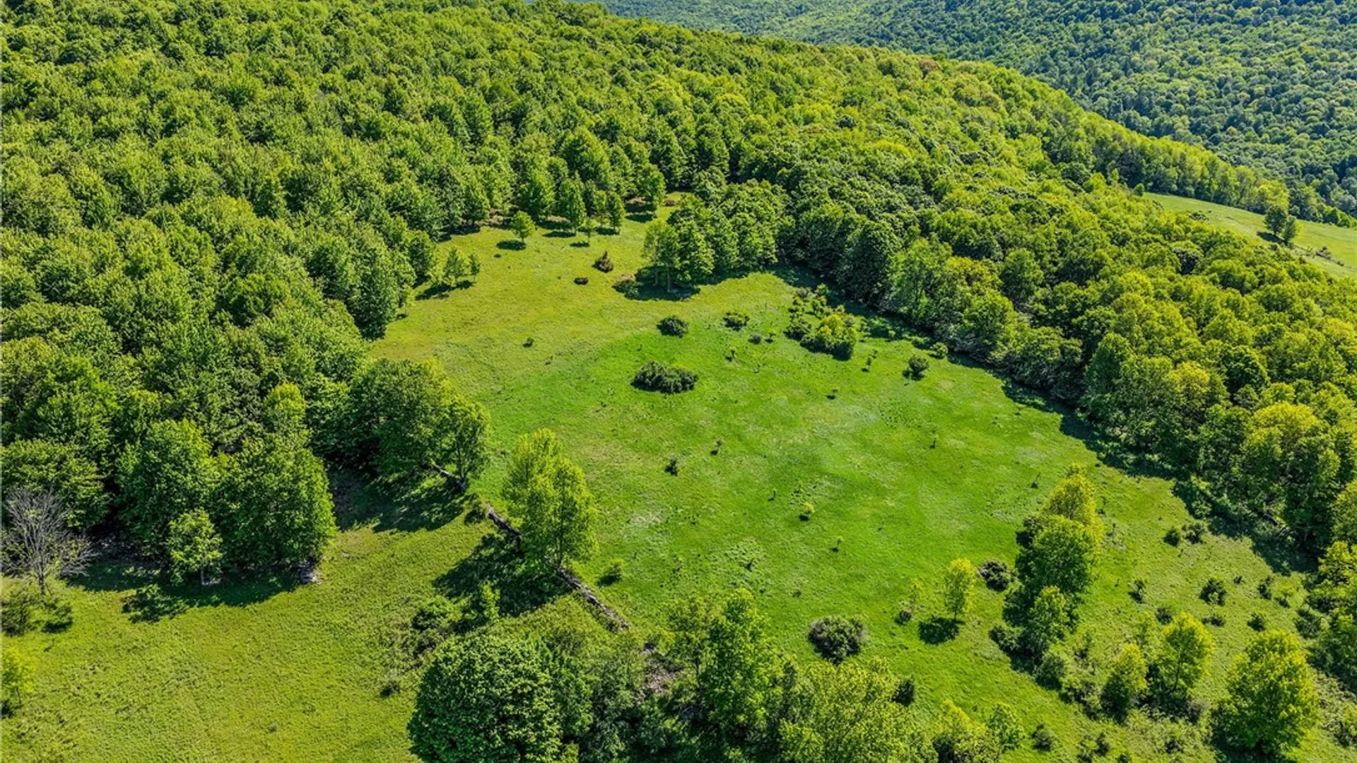 Property at 26 Federal Hill Rd 2, Delhi, NY 13753 46