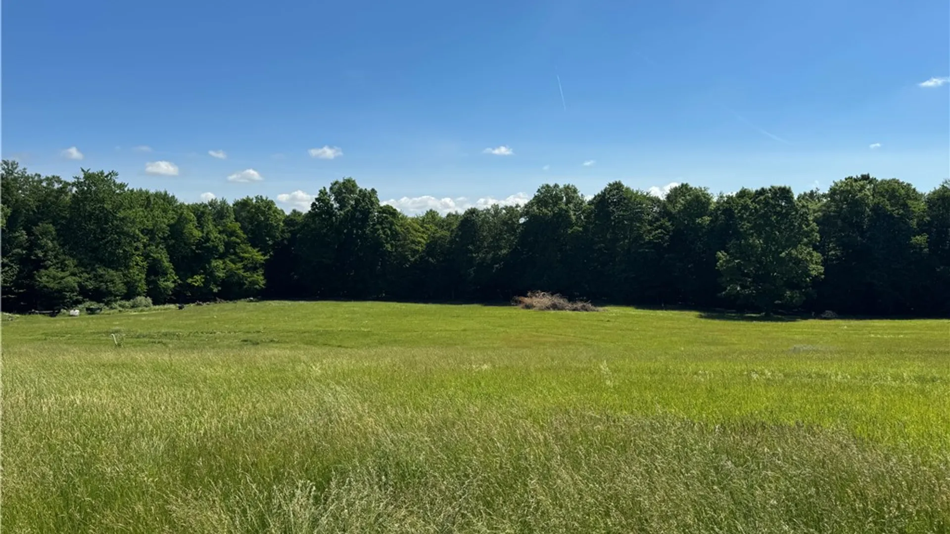 Property at 1403 Ridley Road, Phelps, NY 14532 12
