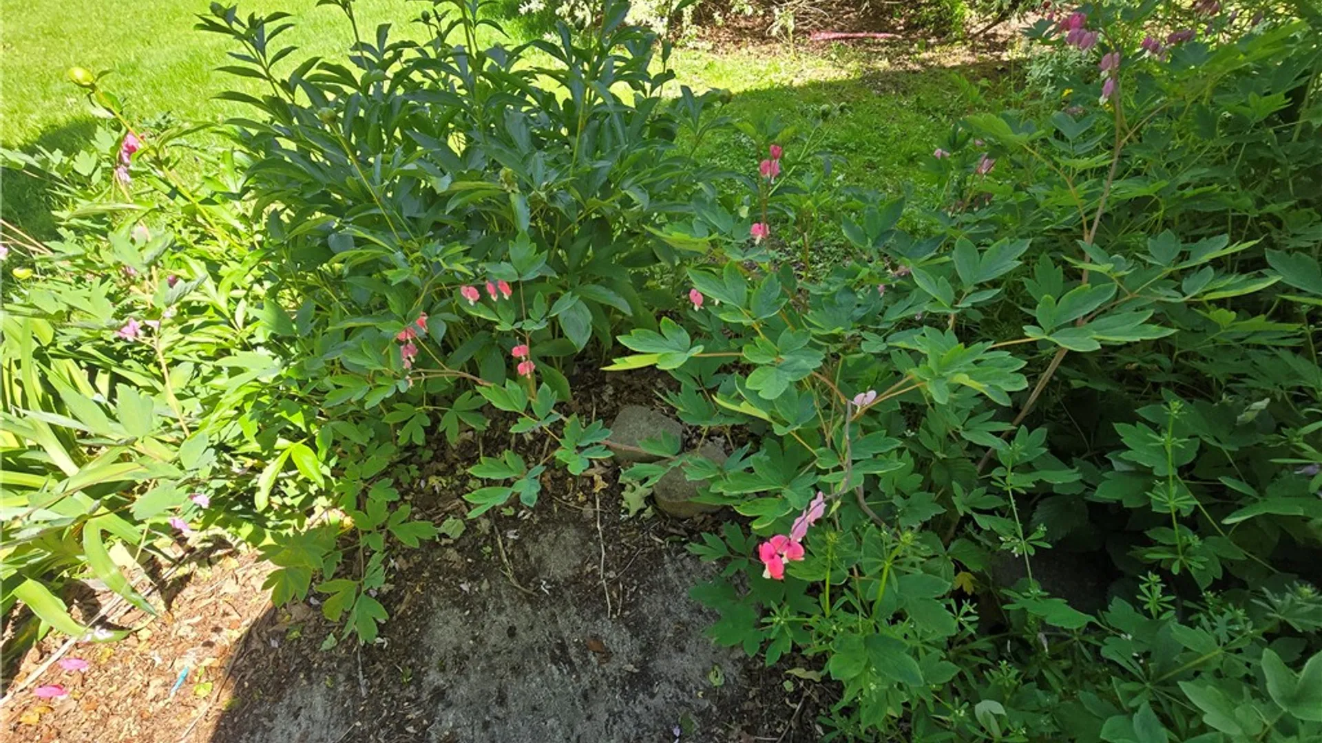 Property at 26 Fayette Street, Hamilton, NY 13332 8