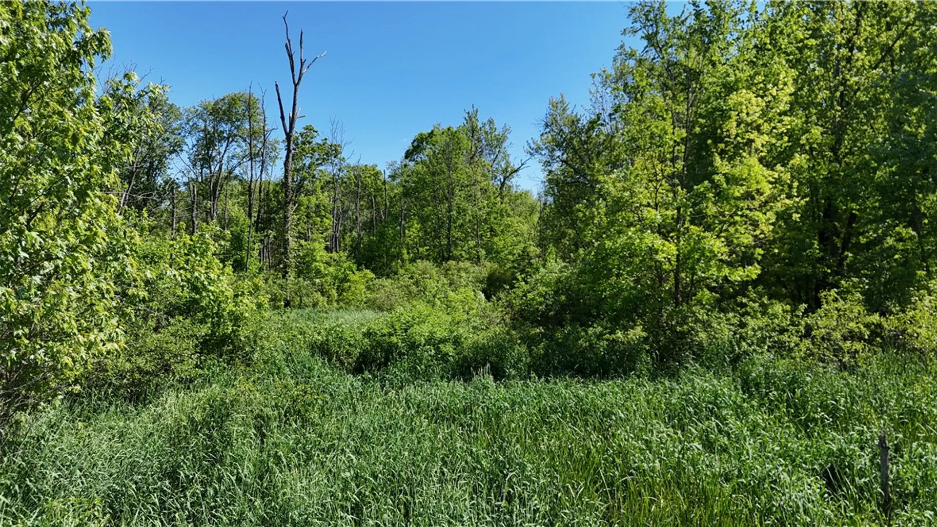 Property at Dredge Ditch Road, Ellington, NY 14726 10