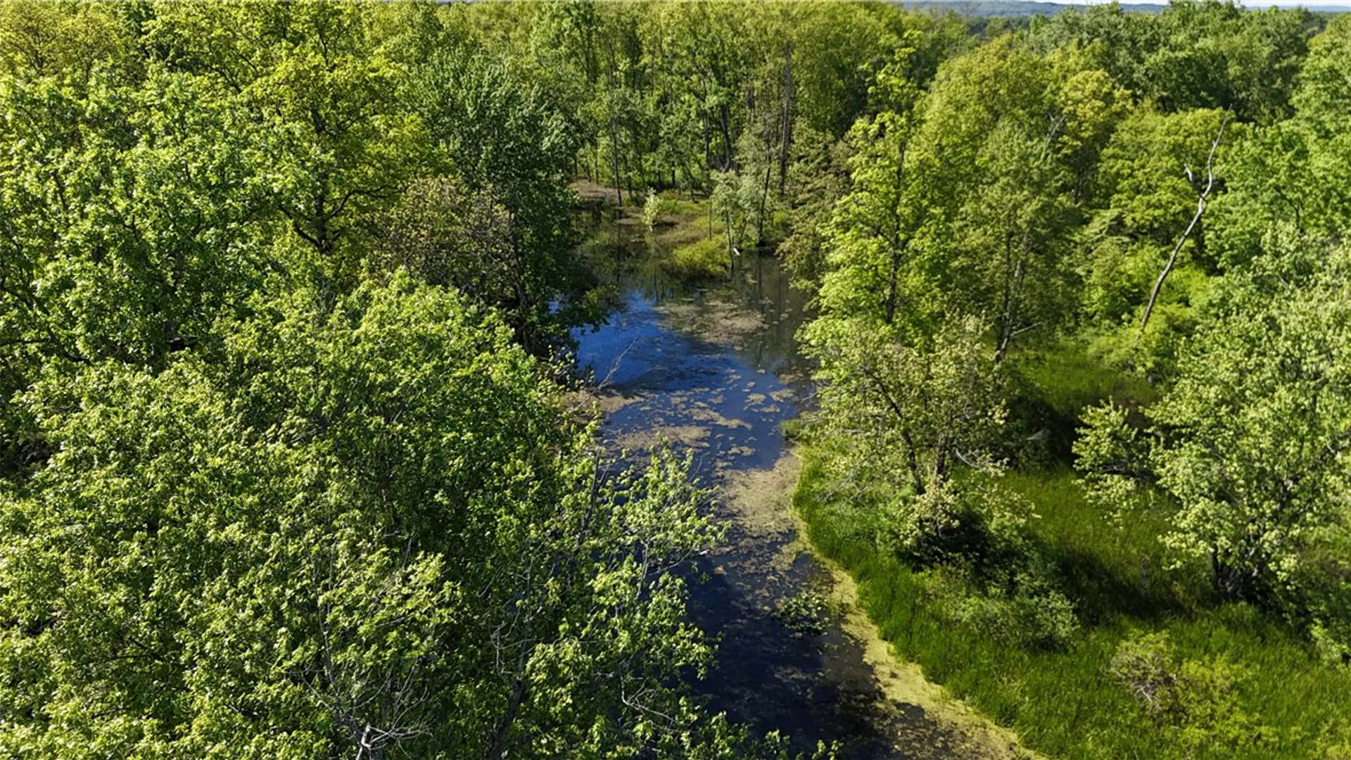 Property at Dredge Ditch Road, Ellington, NY 14726 11
