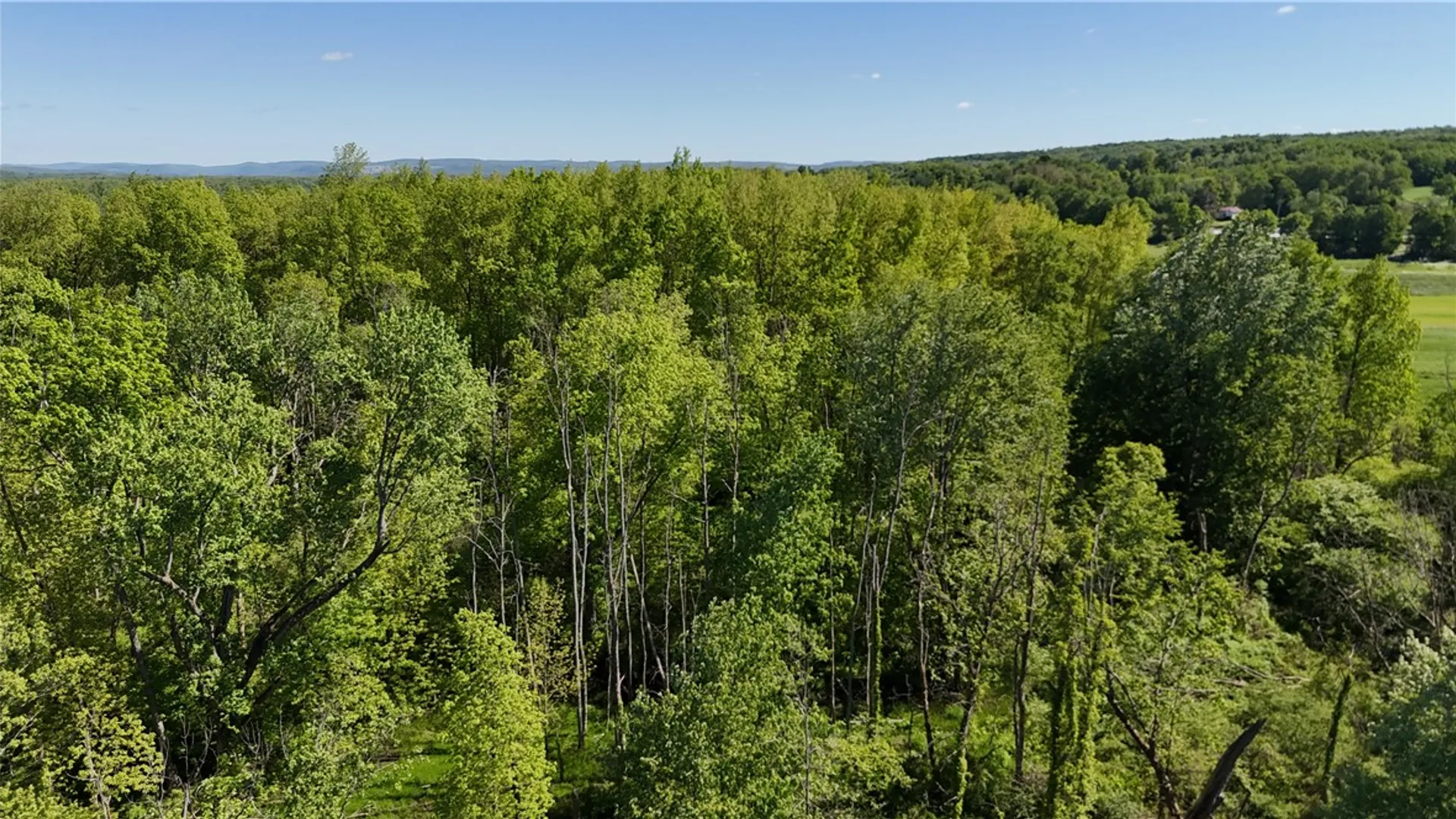 Property at Dredge Ditch Road, Ellington, NY 14726 12