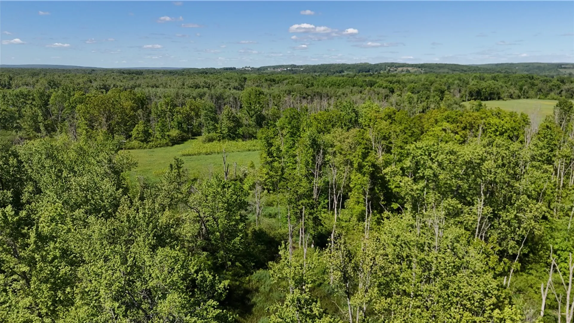 Property at Dredge Ditch Road, Ellington, NY 14726 13
