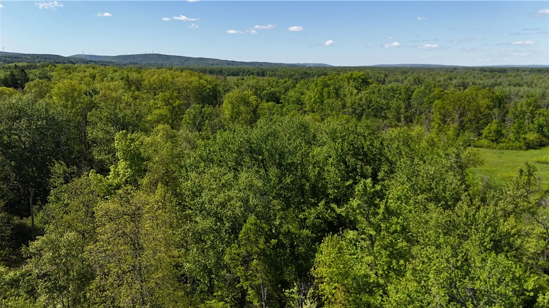 Property at Dredge Ditch Road, Ellington, NY 14726 14
