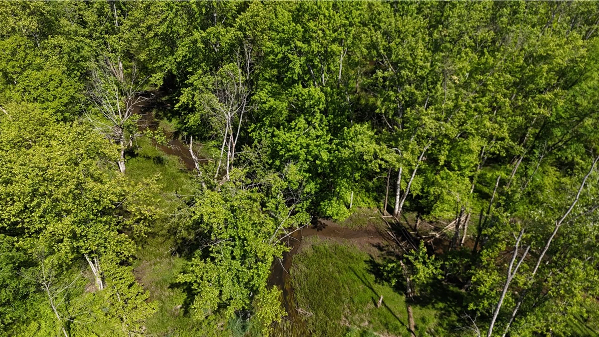 Property at Dredge Ditch Road, Ellington, NY 14726 15