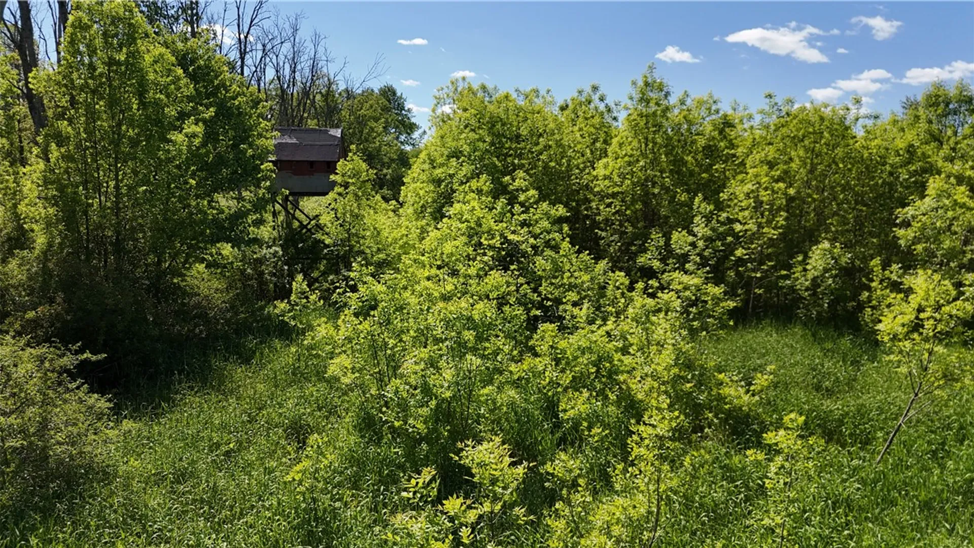 Property at Dredge Ditch Road, Ellington, NY 14726 16