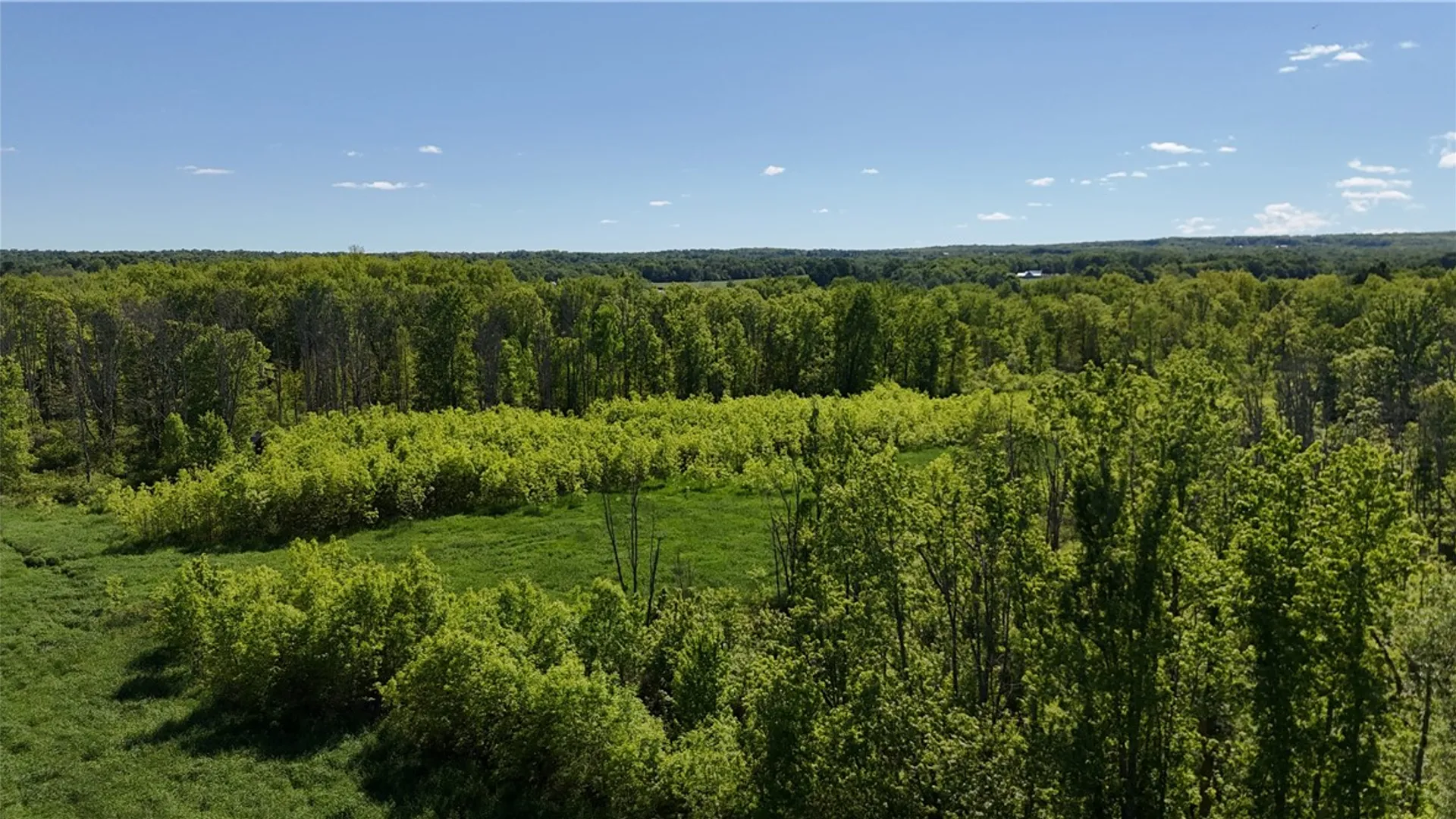 Property at Dredge Ditch Road, Ellington, NY 14726 17
