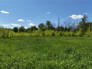 Dredge Ditch Road, Ellington, NY 14726