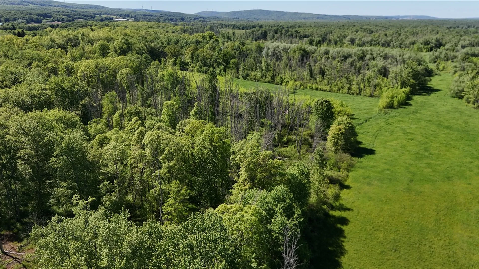 Property at Dredge Ditch Road, Ellington, NY 14726 2