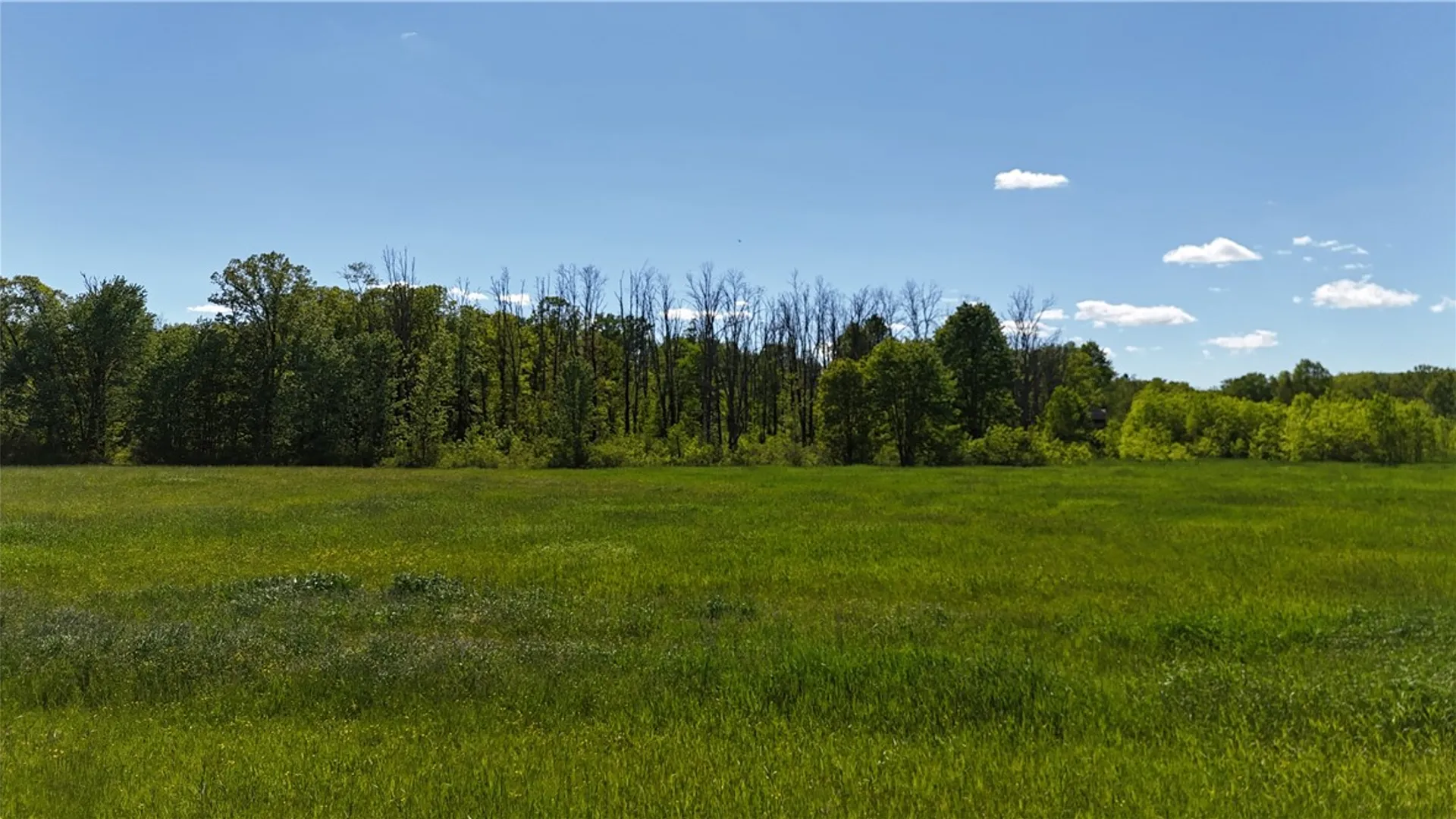 Property at Dredge Ditch Road, Ellington, NY 14726 3