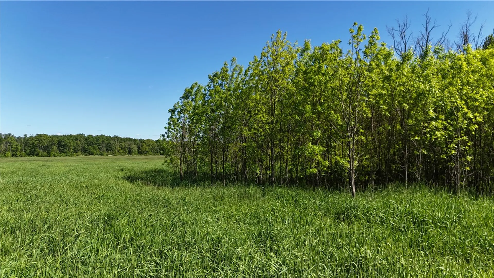 Property at Dredge Ditch Road, Ellington, NY 14726 4