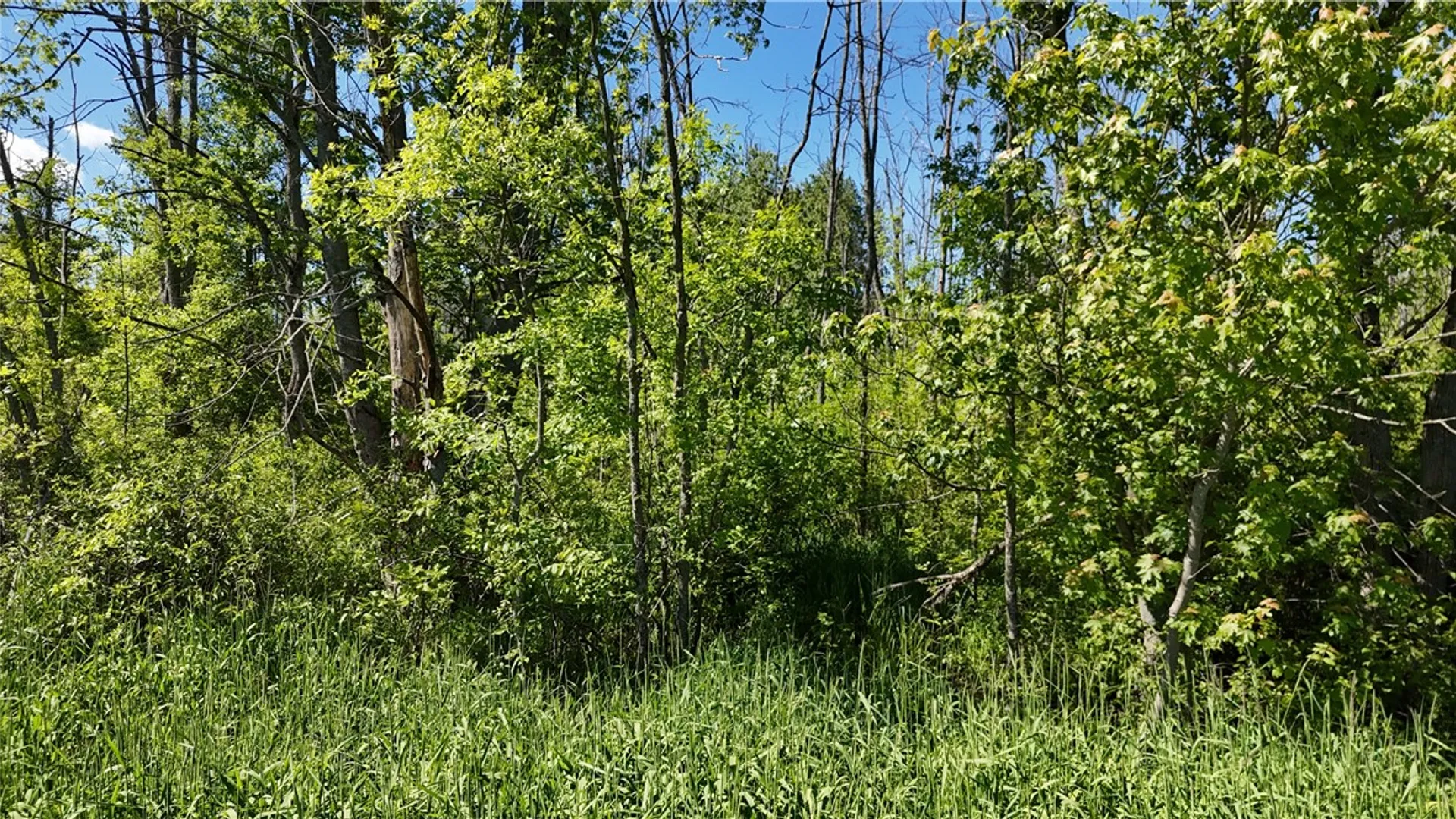 Property at Dredge Ditch Road, Ellington, NY 14726 5