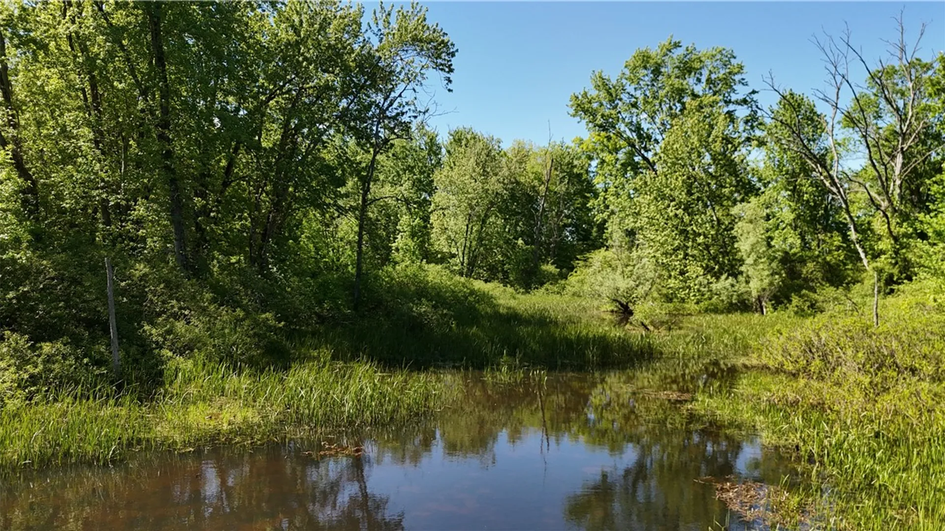 Property at Dredge Ditch Road, Ellington, NY 14726 7