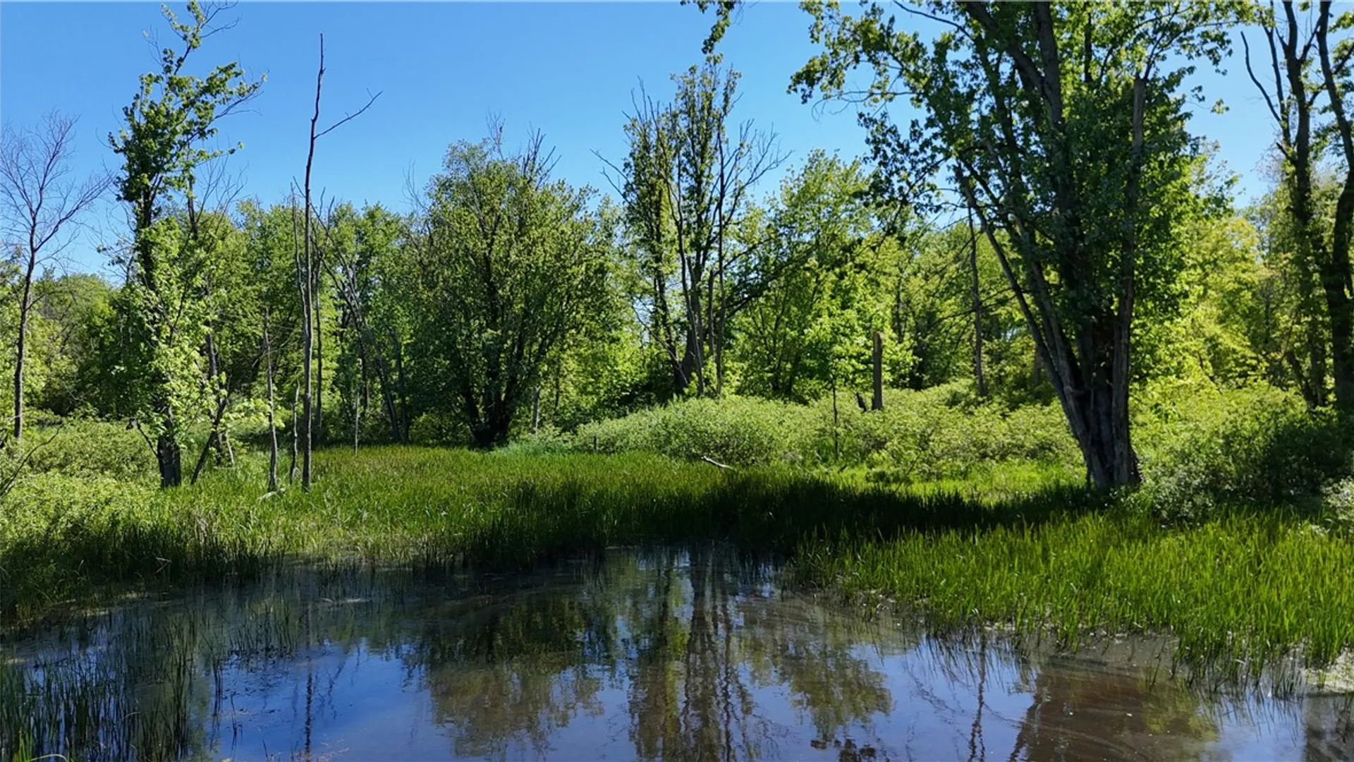 Property at Dredge Ditch Road, Ellington, NY 14726 8