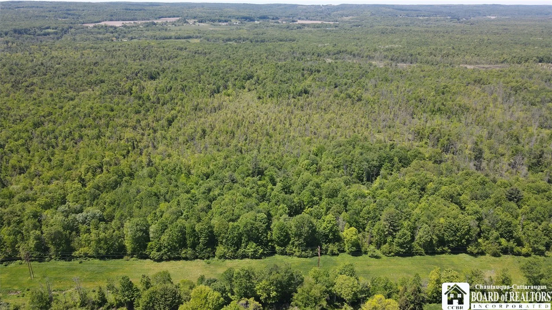 Property at S Stoc-Cass, Stockton, NY 14784 10