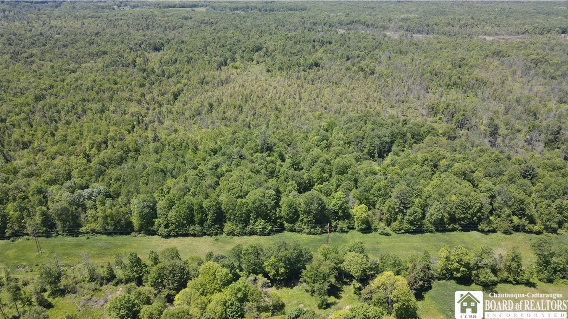 Property at S Stoc-Cass, Stockton, NY 14784 9