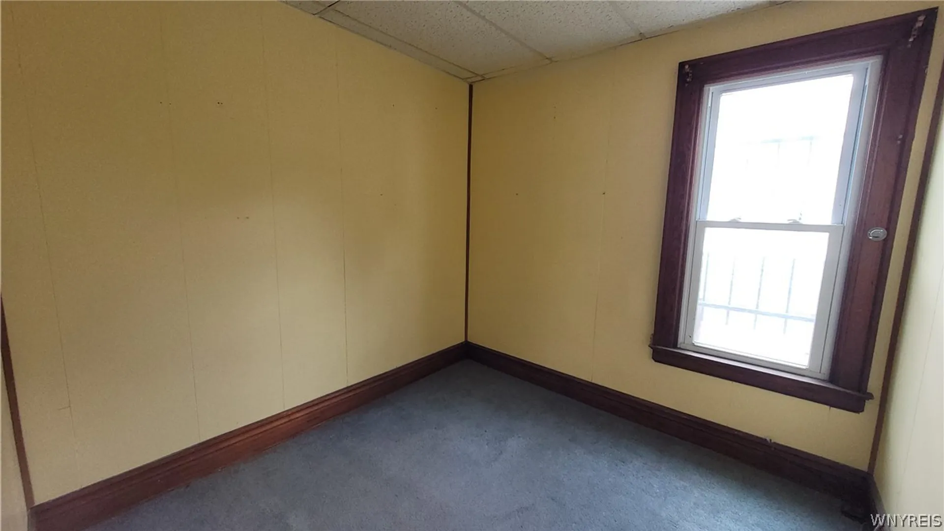 Property at 325 Box Ave (LOWER), Buffalo, NY 14211 10