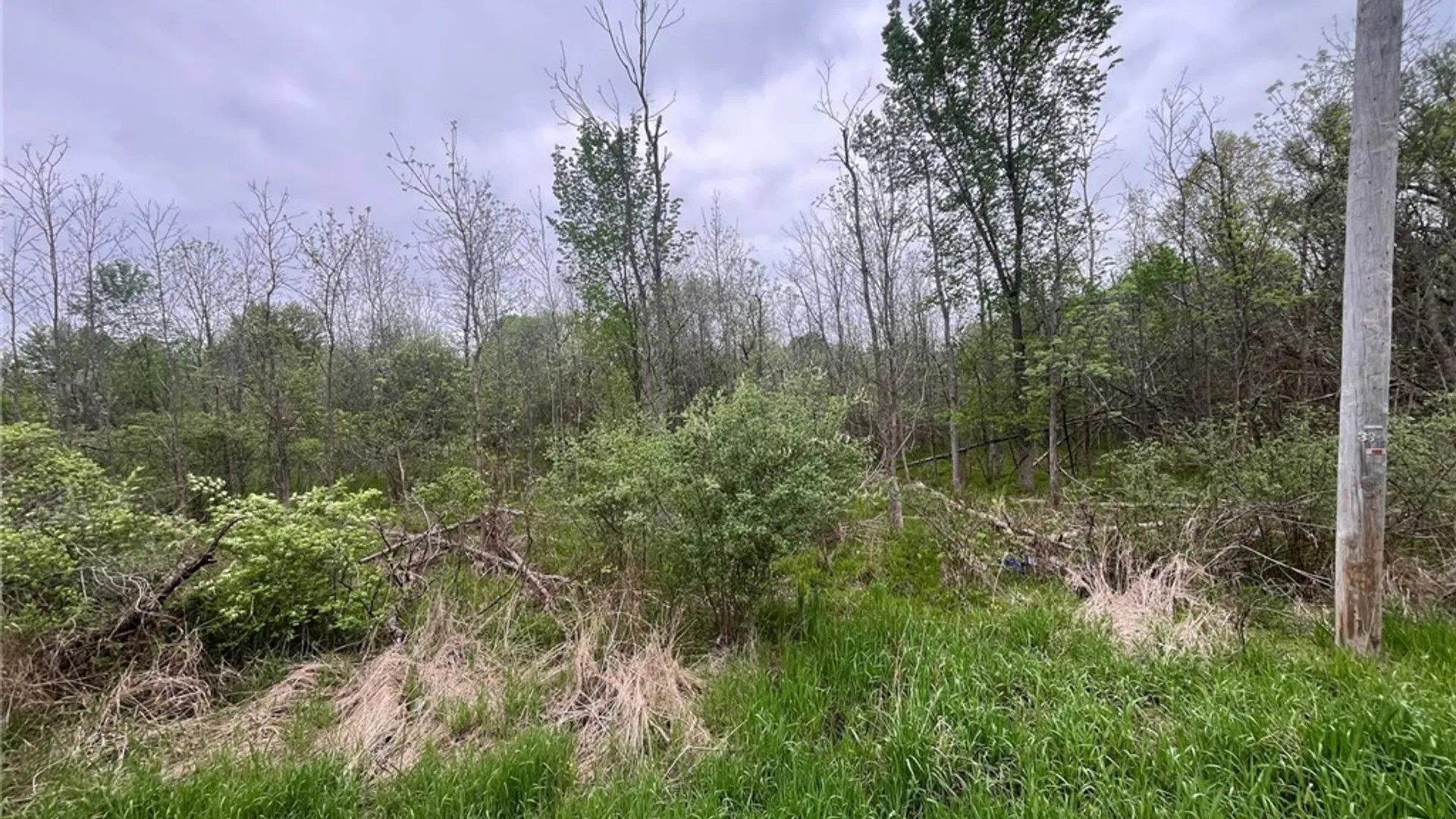 Property at 5670 Thompson Road, Clarence, NY 14032 3