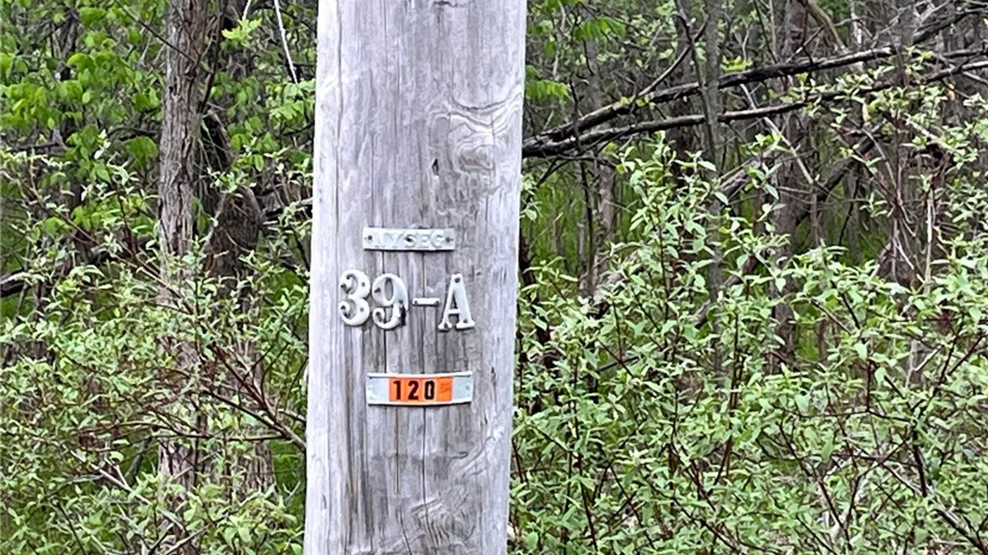 Property at 5670 Thompson Road, Clarence, NY 14032 4